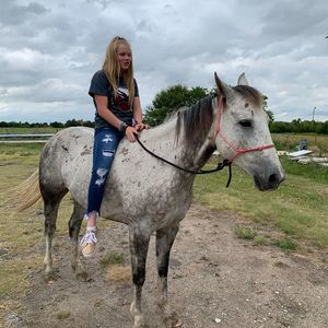 Meet your Posher, Lorri